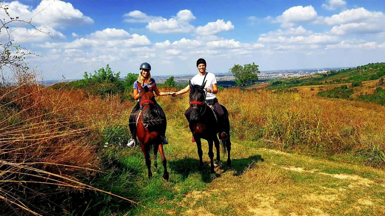 Oaza Prirode, Brvnare Platan Daire Vrdnik Dış mekan fotoğraf