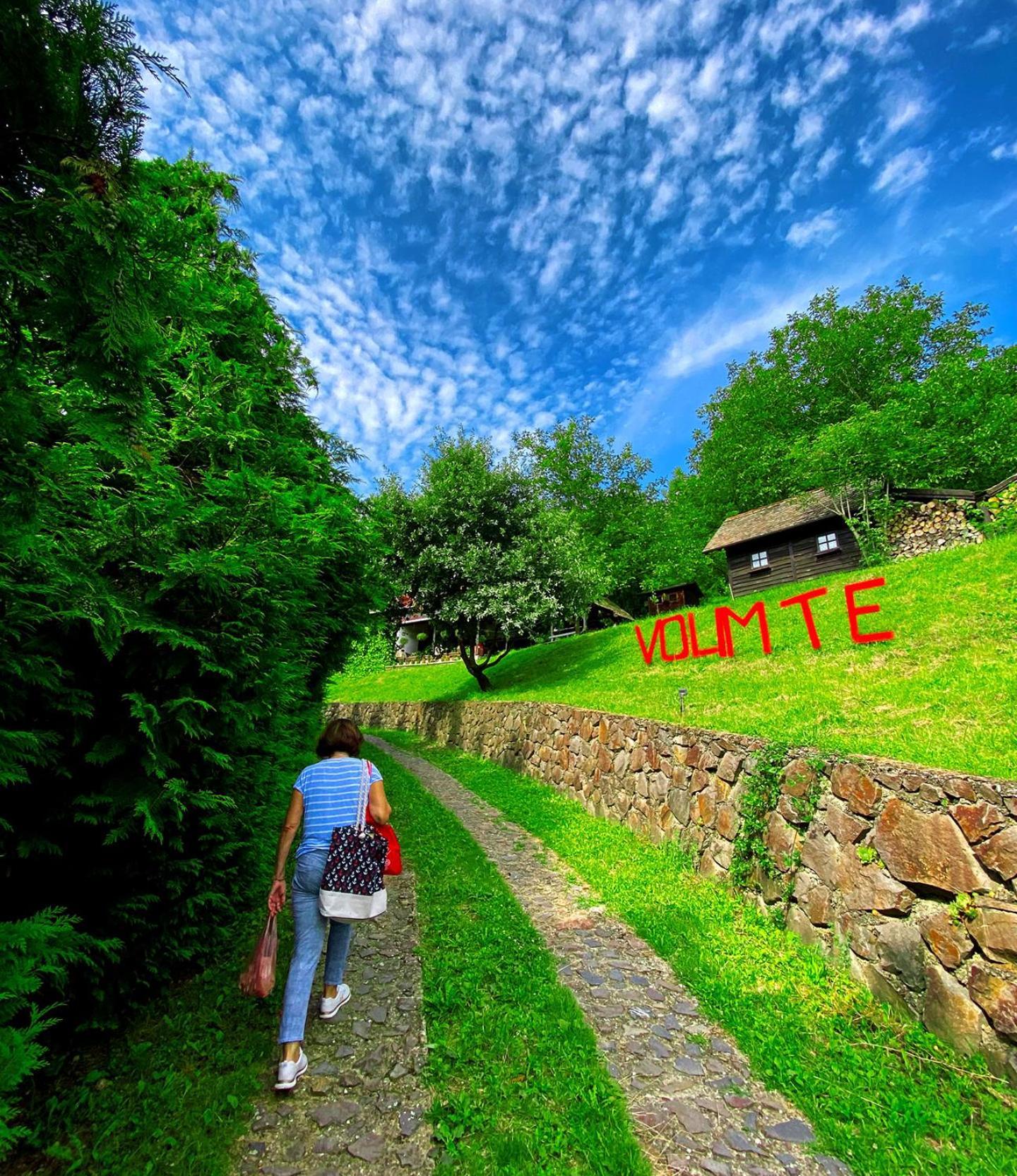 Oaza Prirode, Brvnare Platan Daire Vrdnik Dış mekan fotoğraf