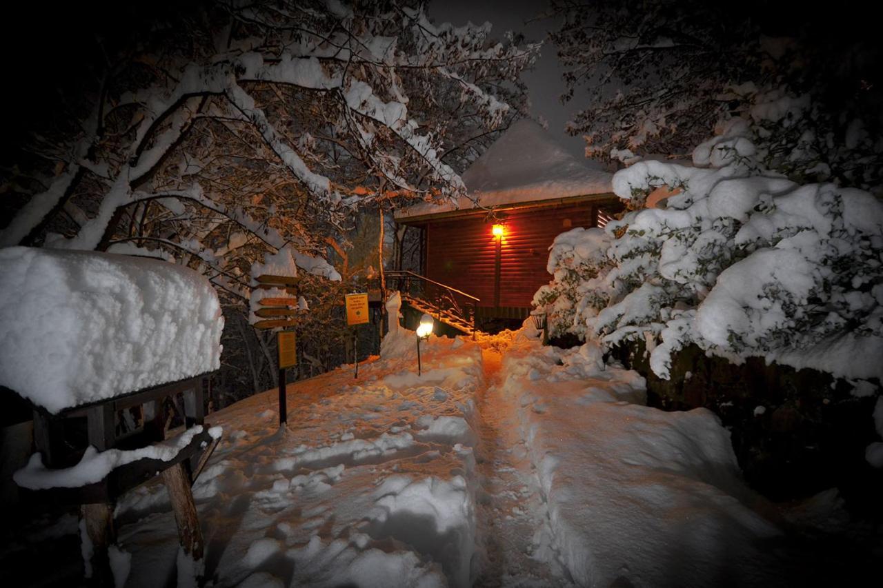 Oaza Prirode, Brvnare Platan Daire Vrdnik Dış mekan fotoğraf