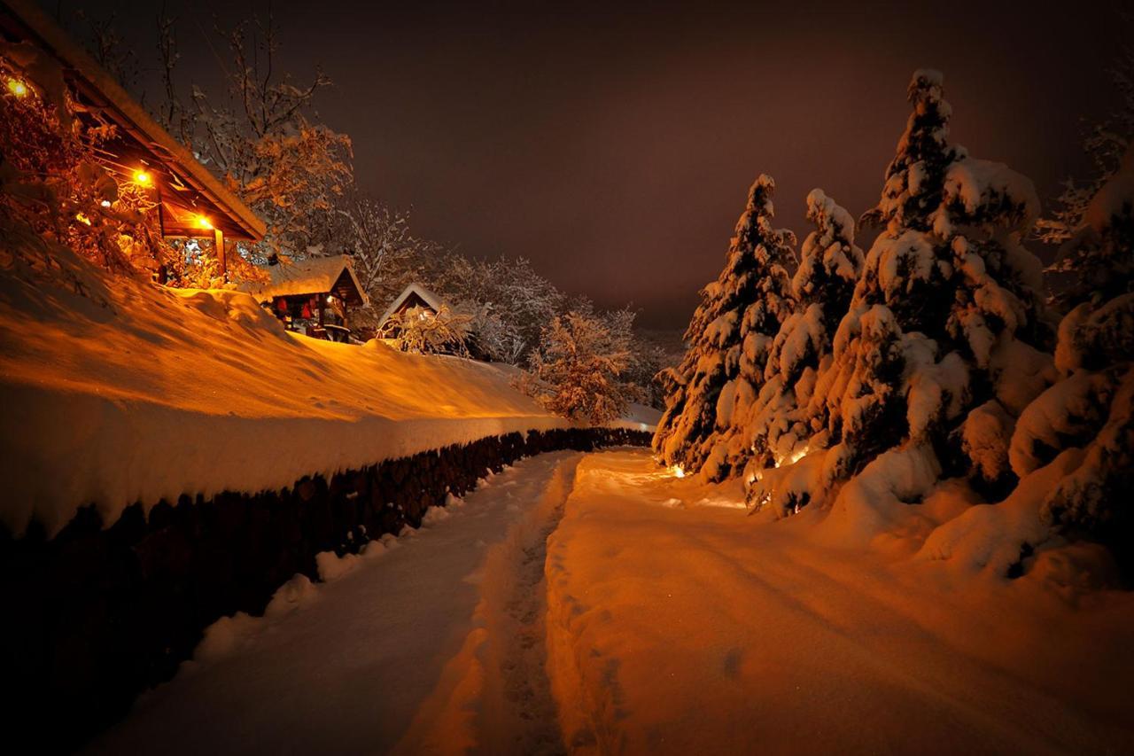 Oaza Prirode, Brvnare Platan Daire Vrdnik Dış mekan fotoğraf